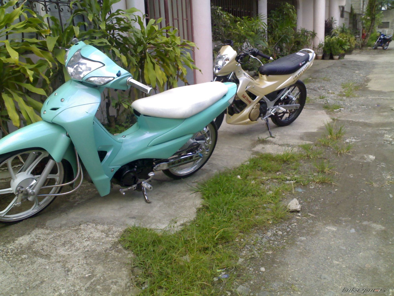 Photo 1397814