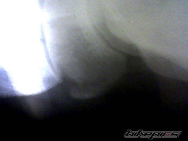 Photo 1397996