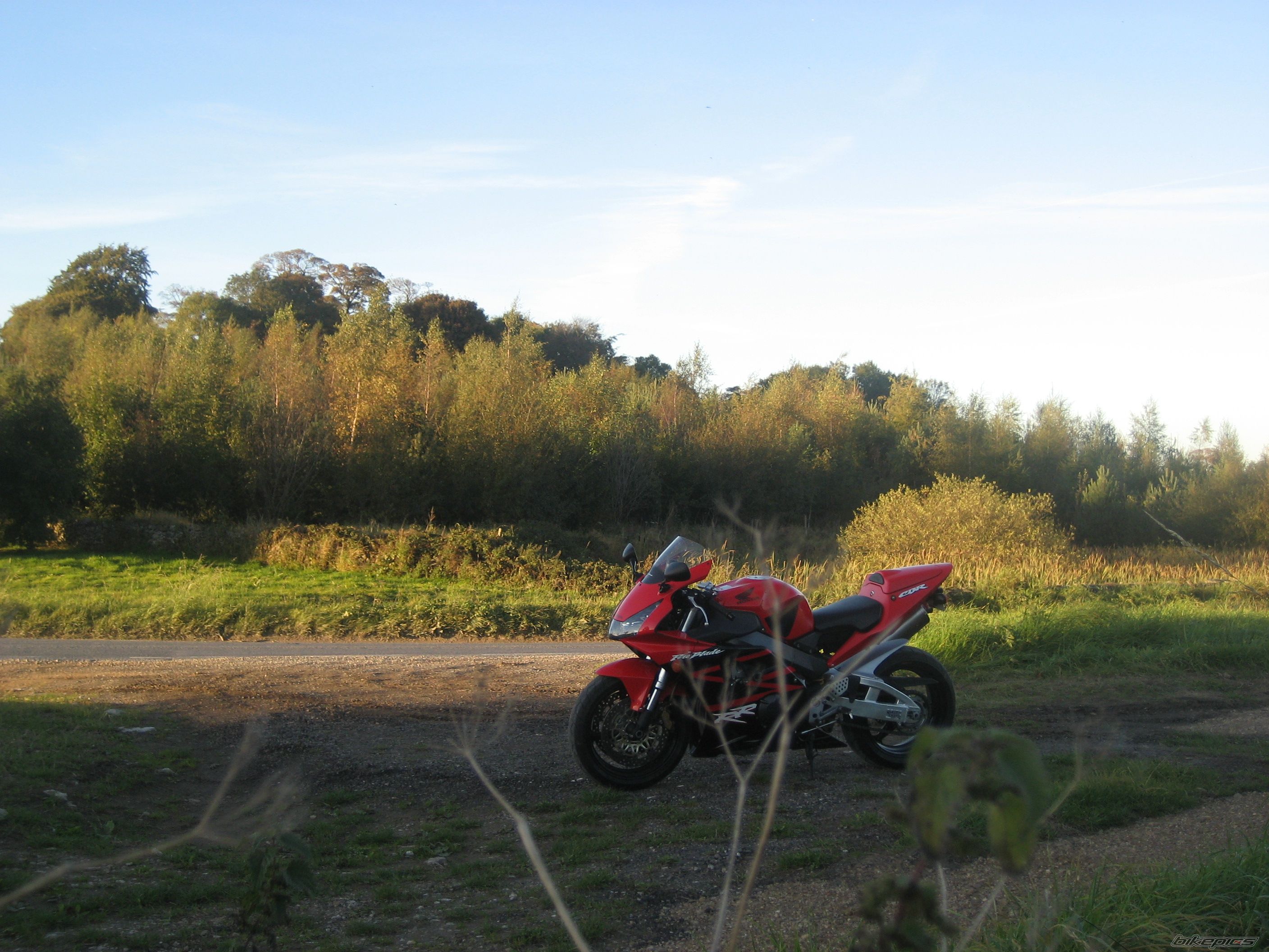Photo 1398014