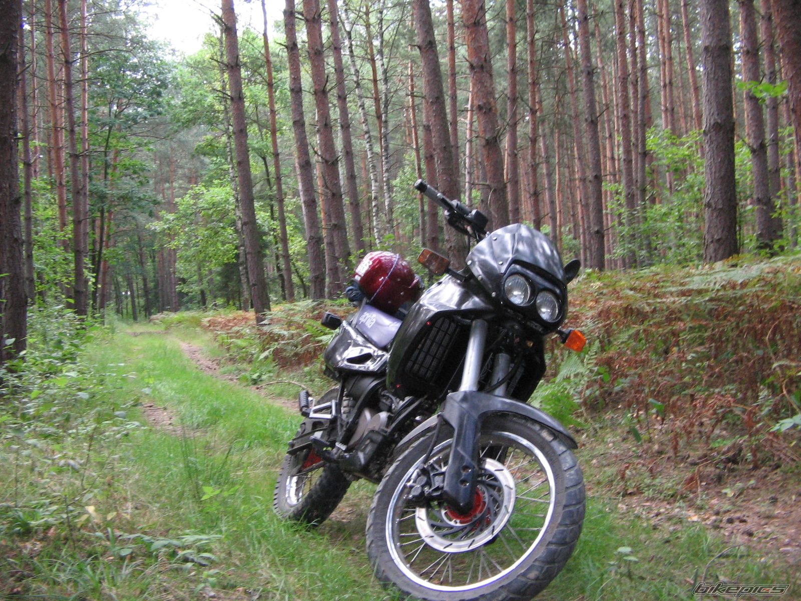 Bike Photo 1398093