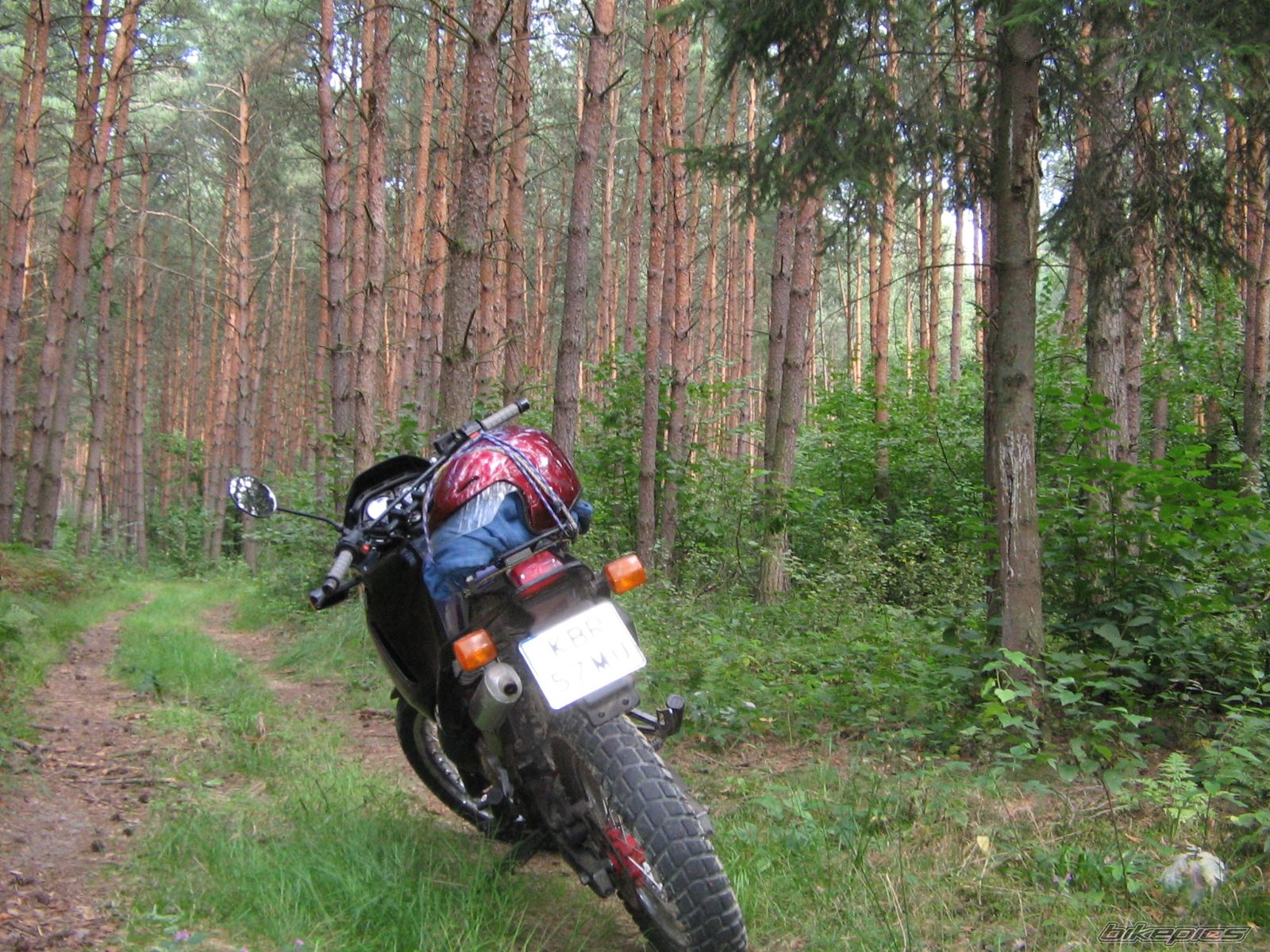 Photo 1398097