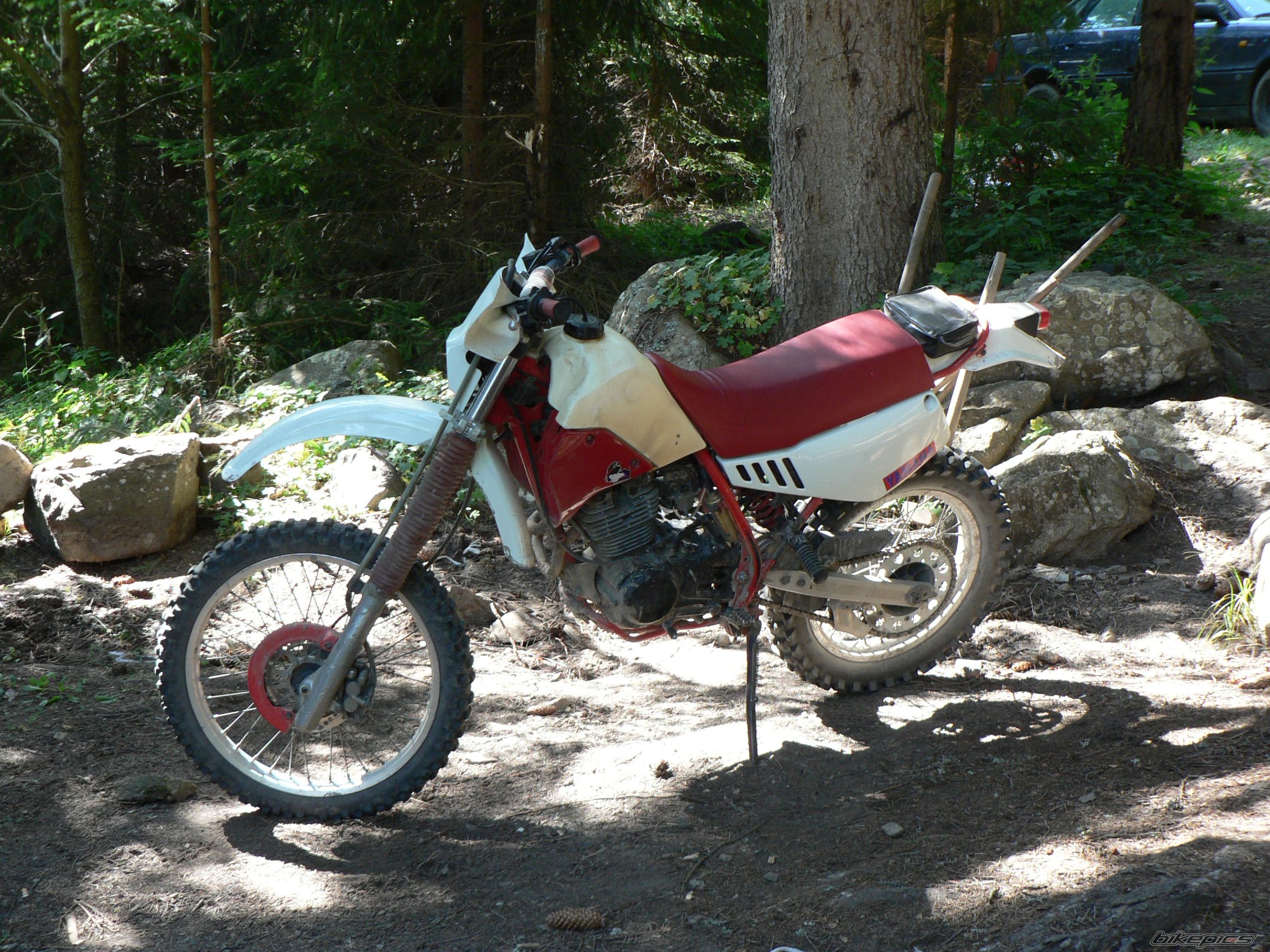 Photo 1398205