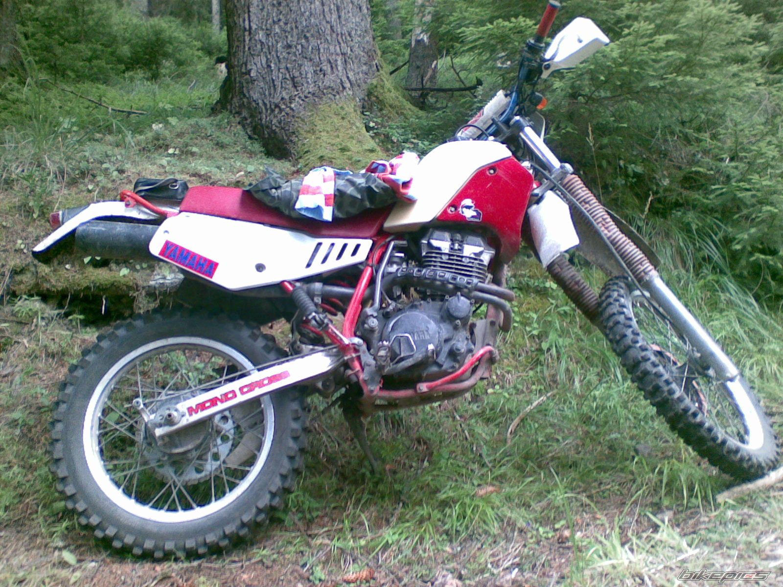 Photo 1398208