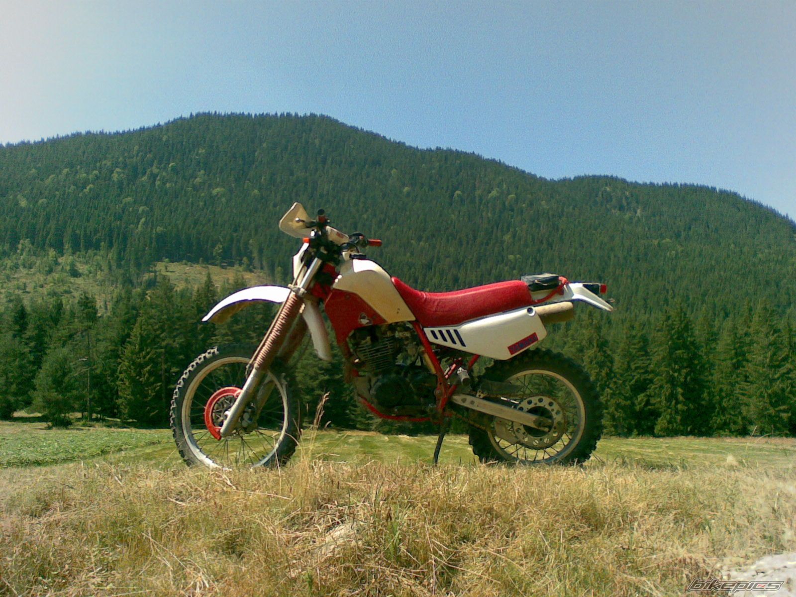 Photo 1398212