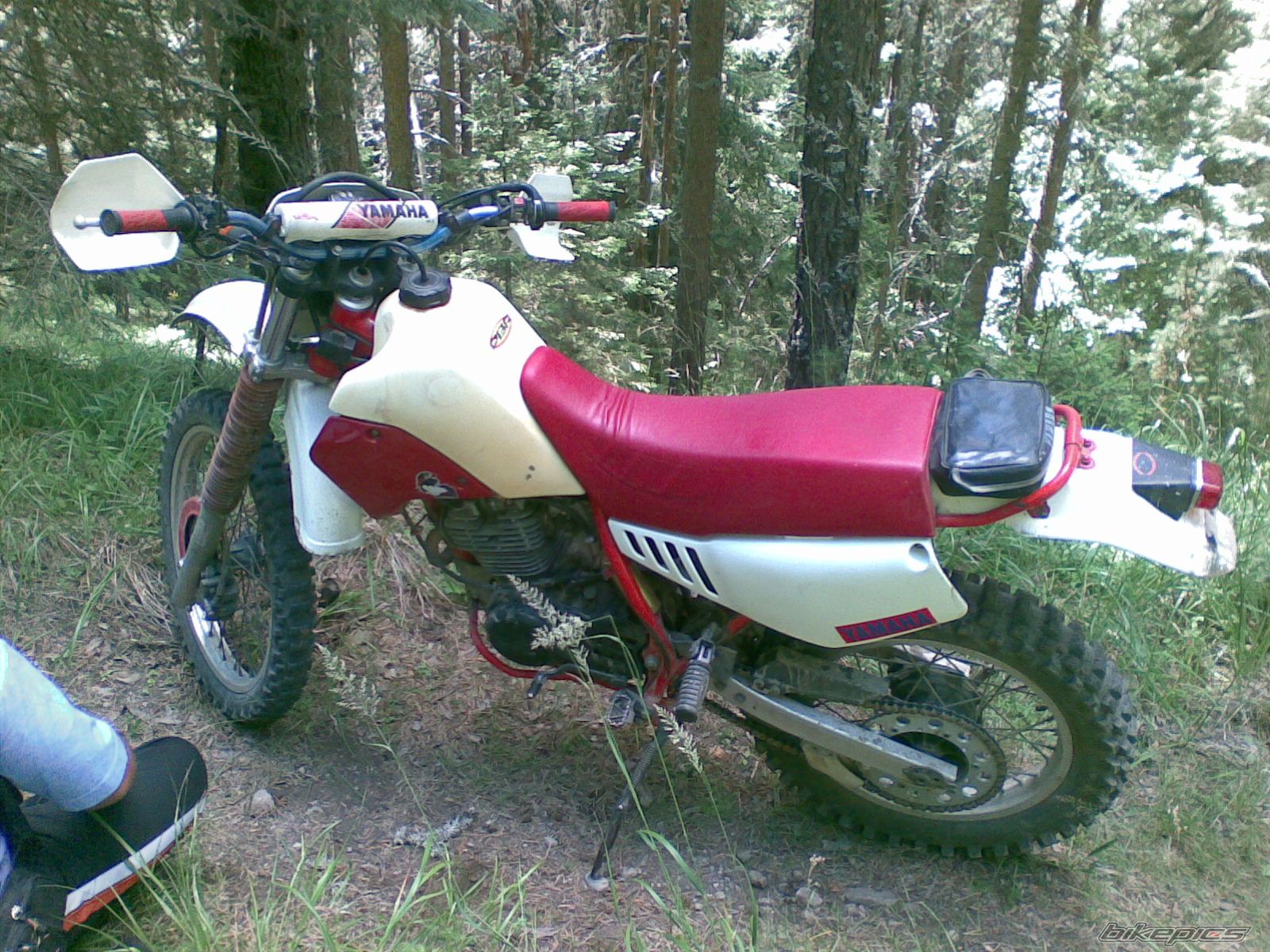Photo 1398216