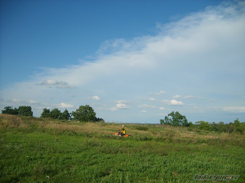 Photo 1398239