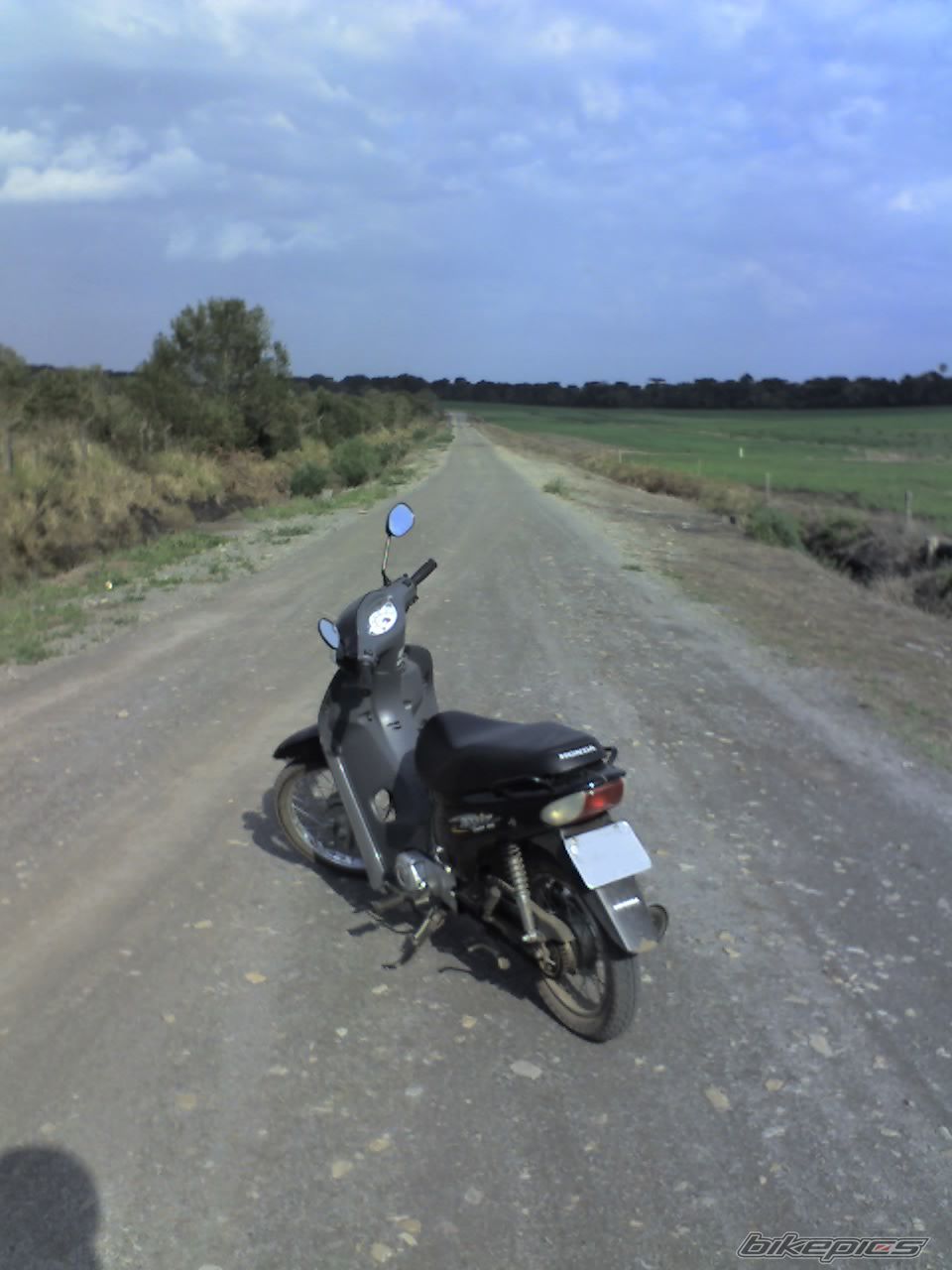 Photo 1398400