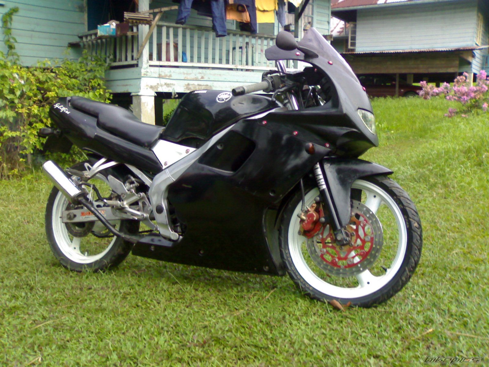 Photo 1398447