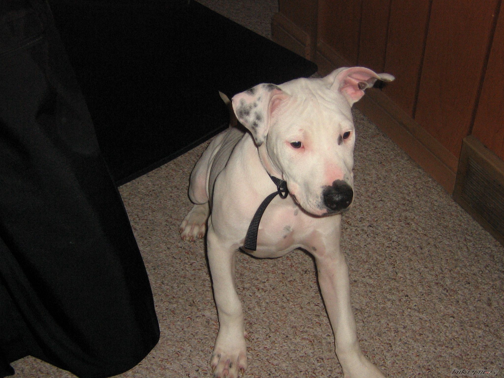 Photo 1398526