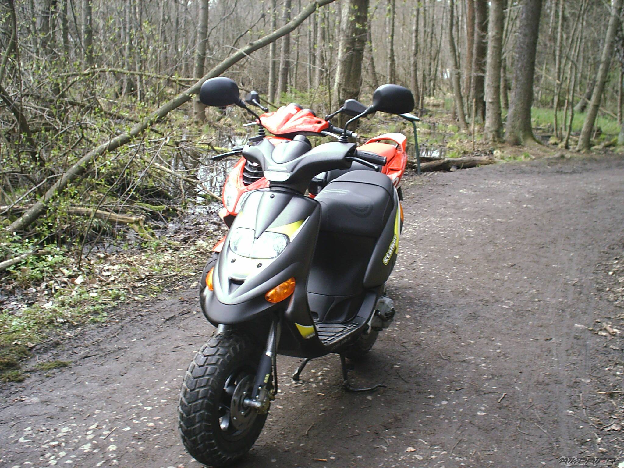 Photo 139874