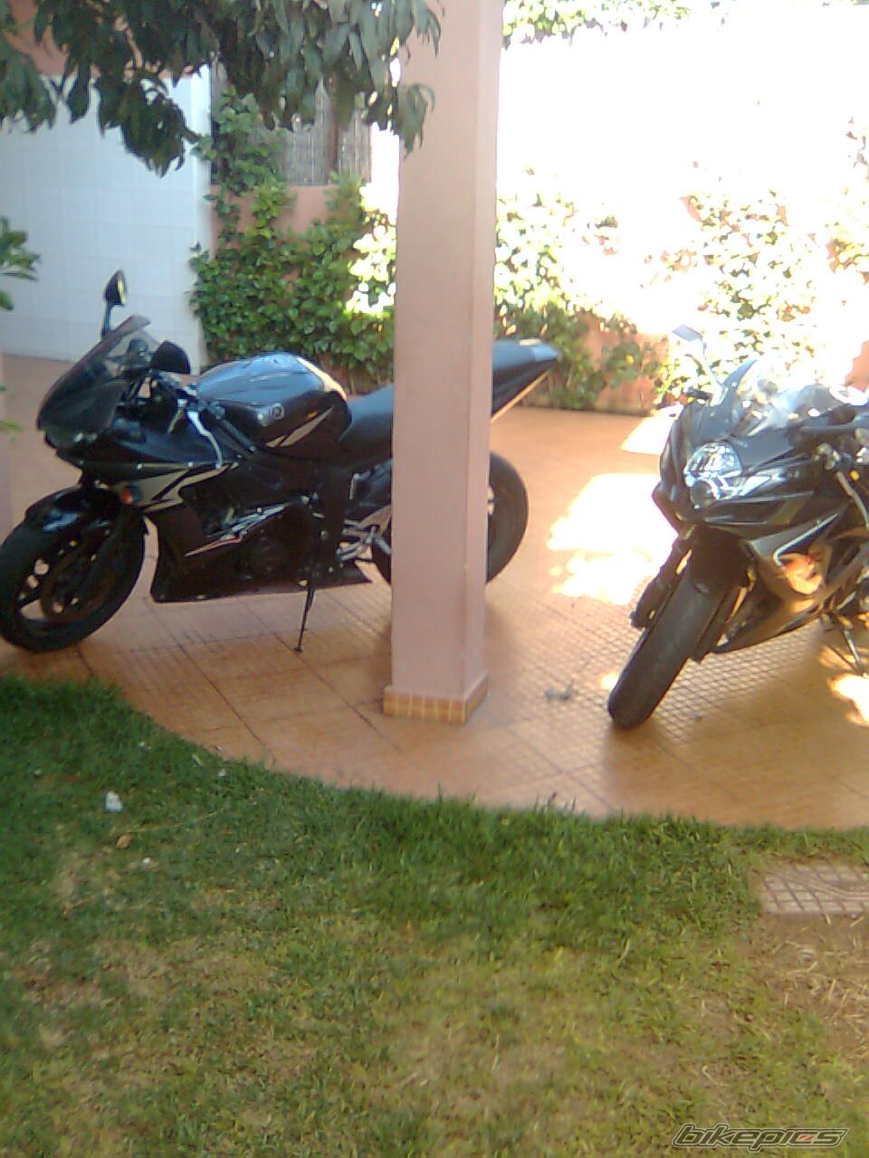 Photo 1398813