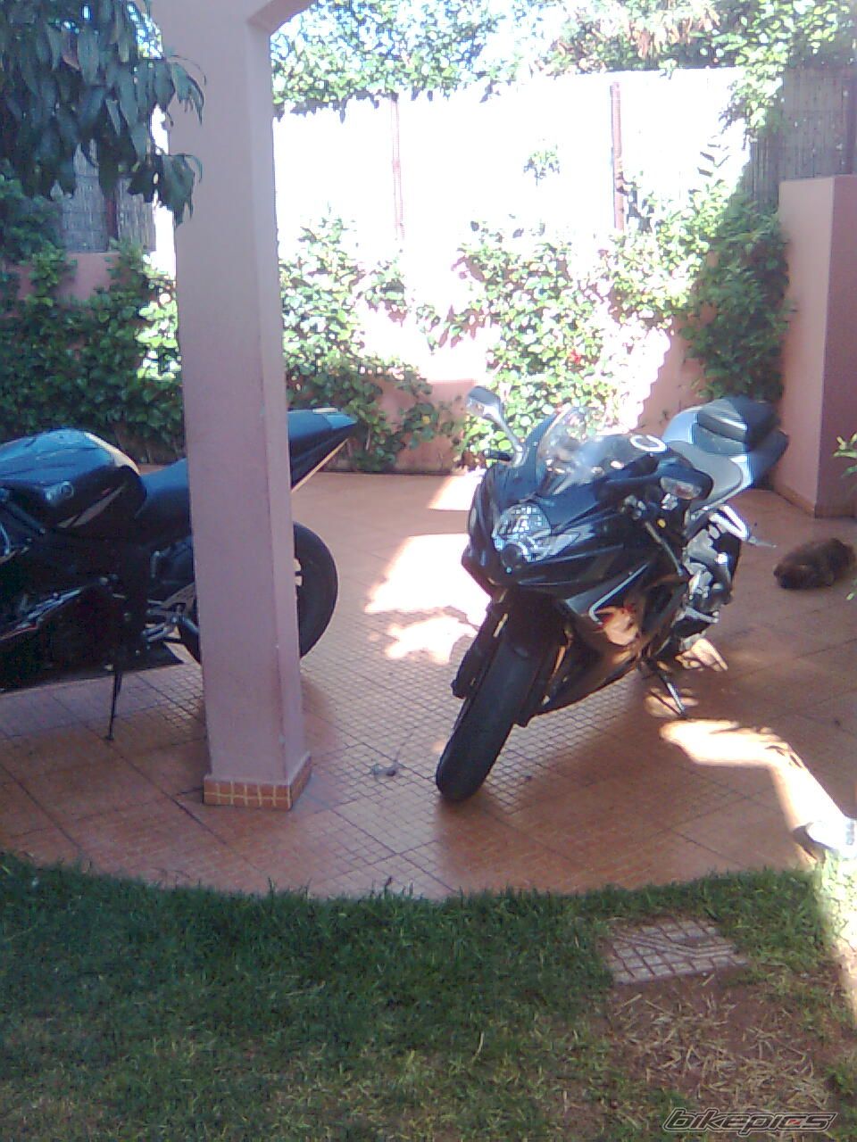 Photo 1398814