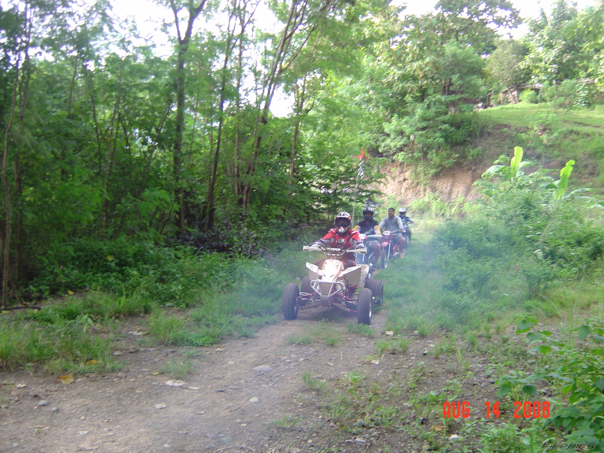 Photo 1398839