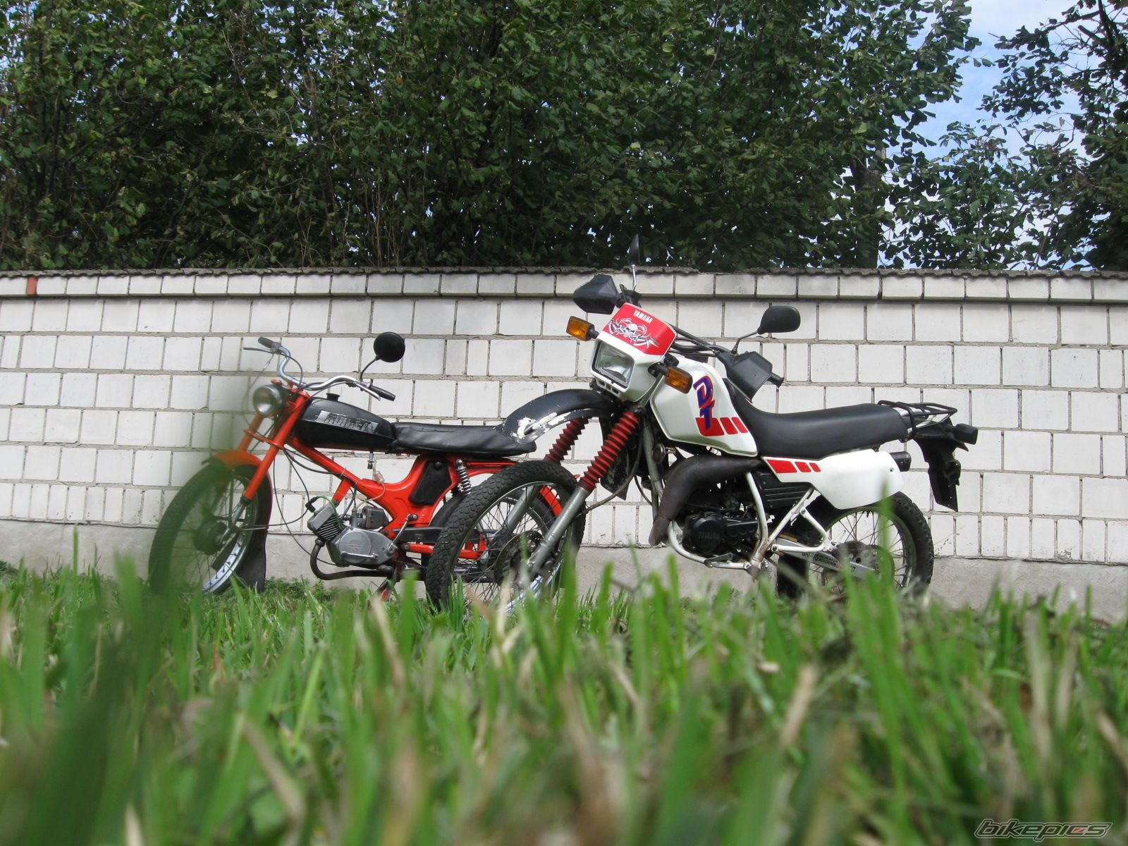 Bike Photo 1398847