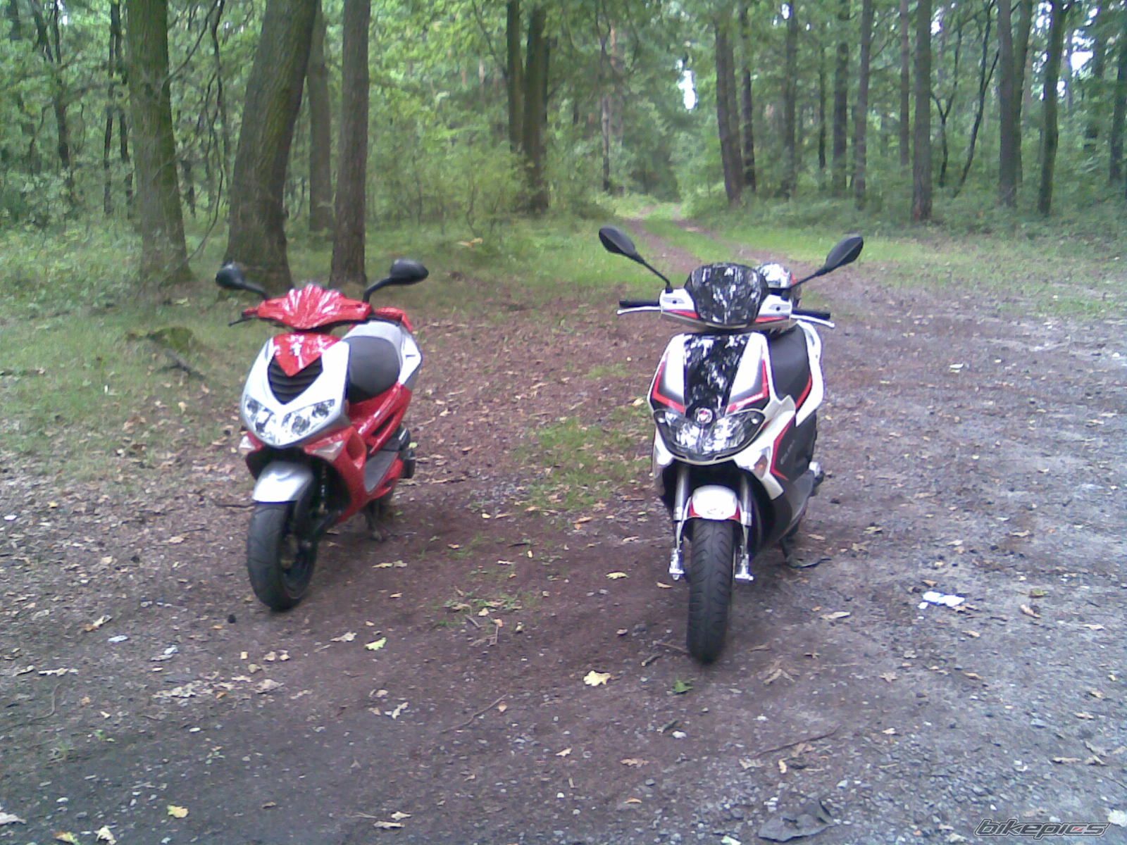 Bike Photo 1398862