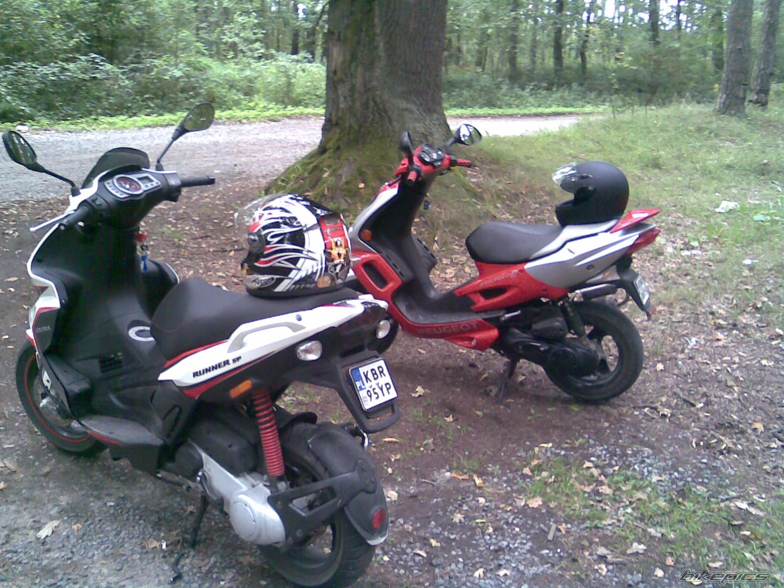 Photo 1398864