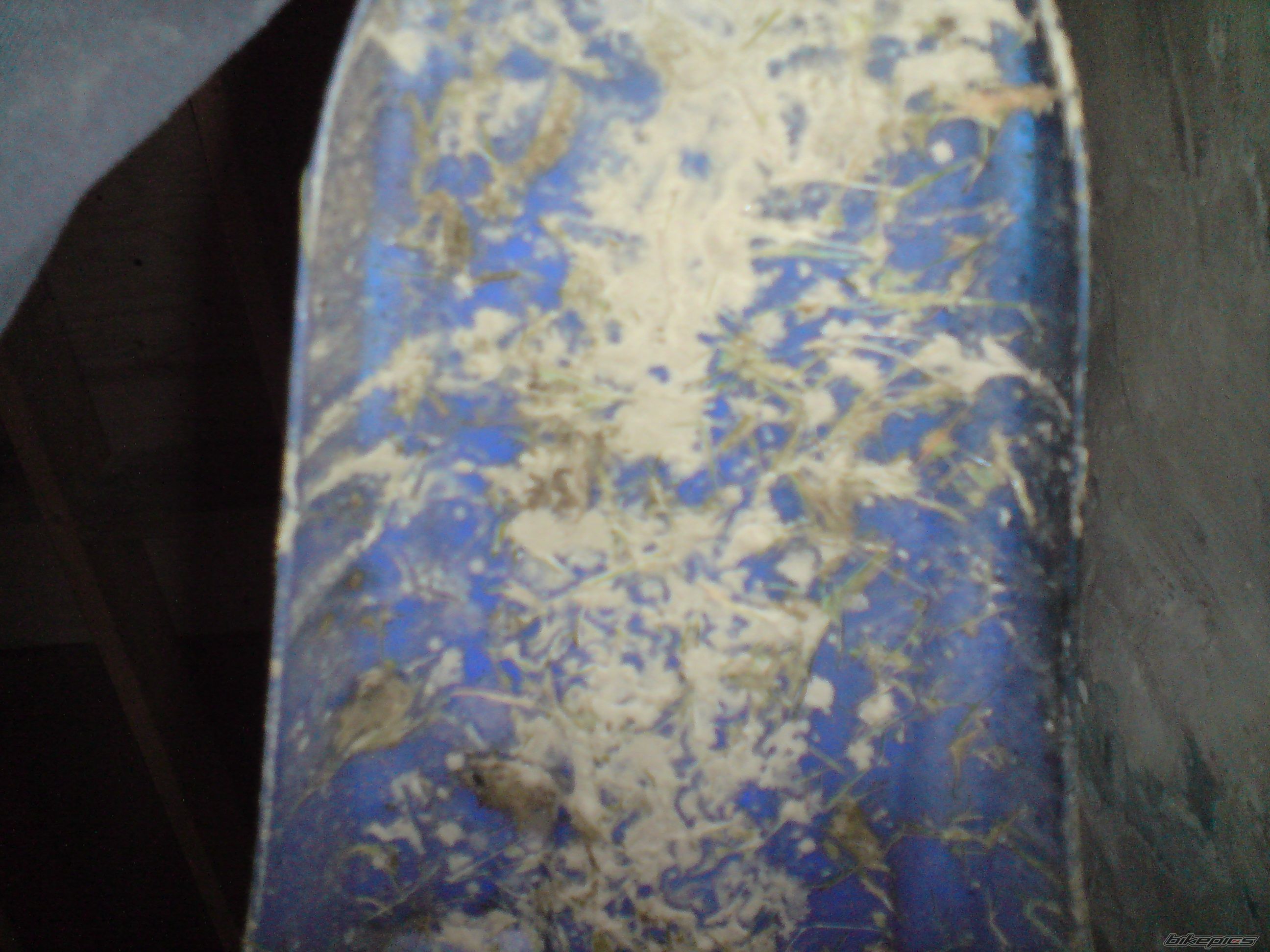 Photo 1398983