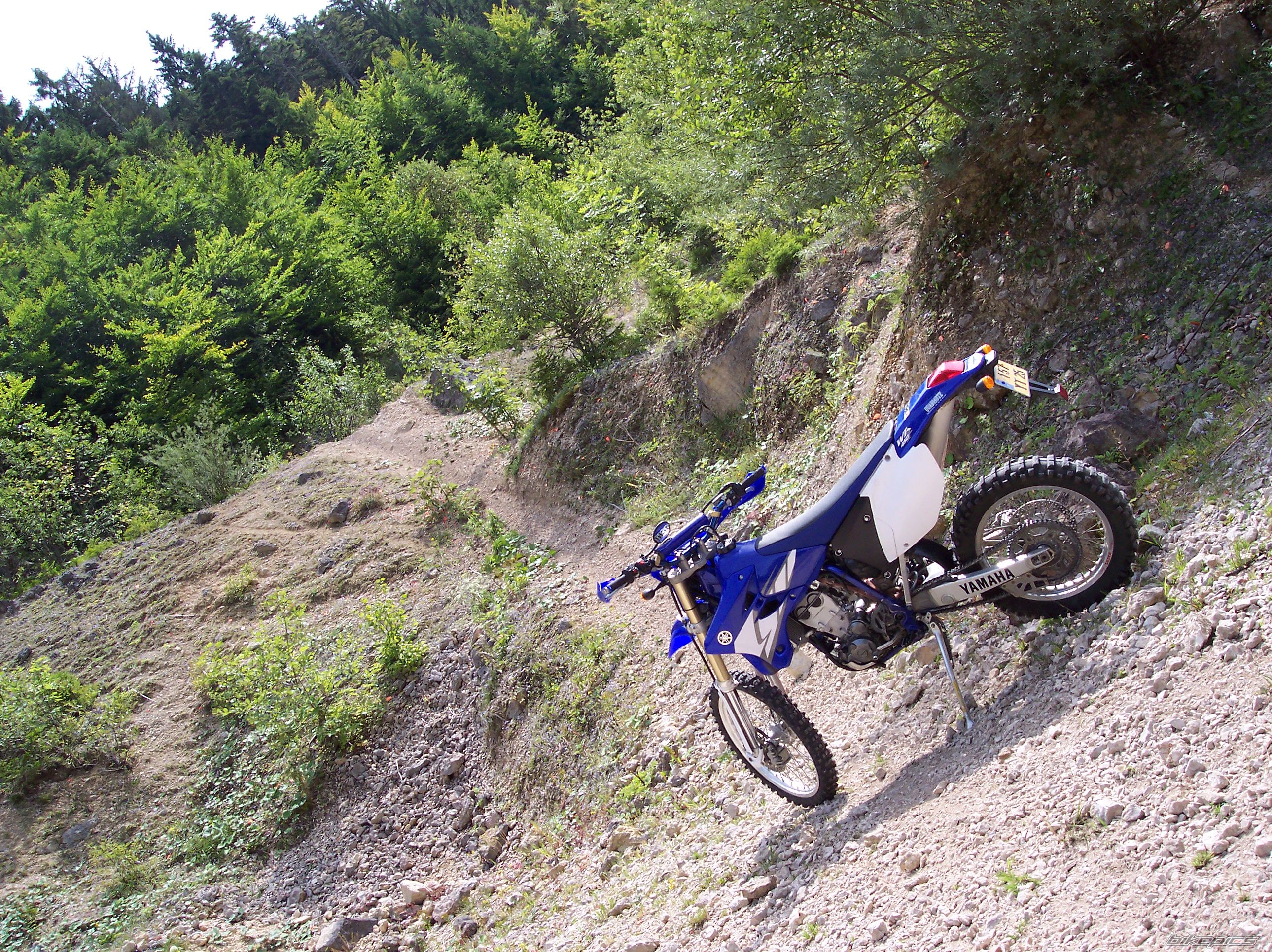 Bike Photo 1399084