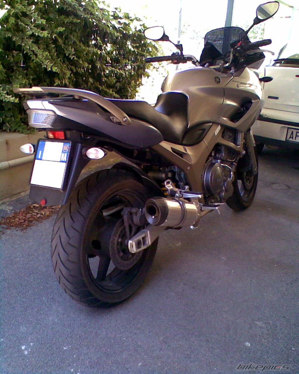 Photo 1399210