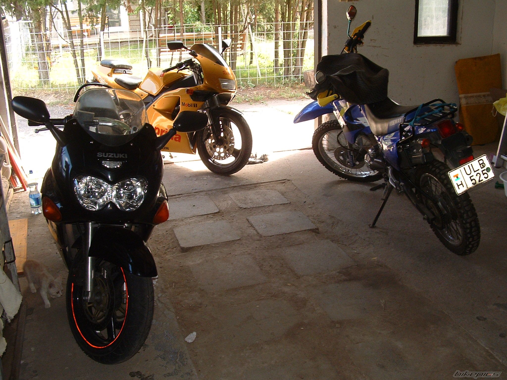 Photo 1399233