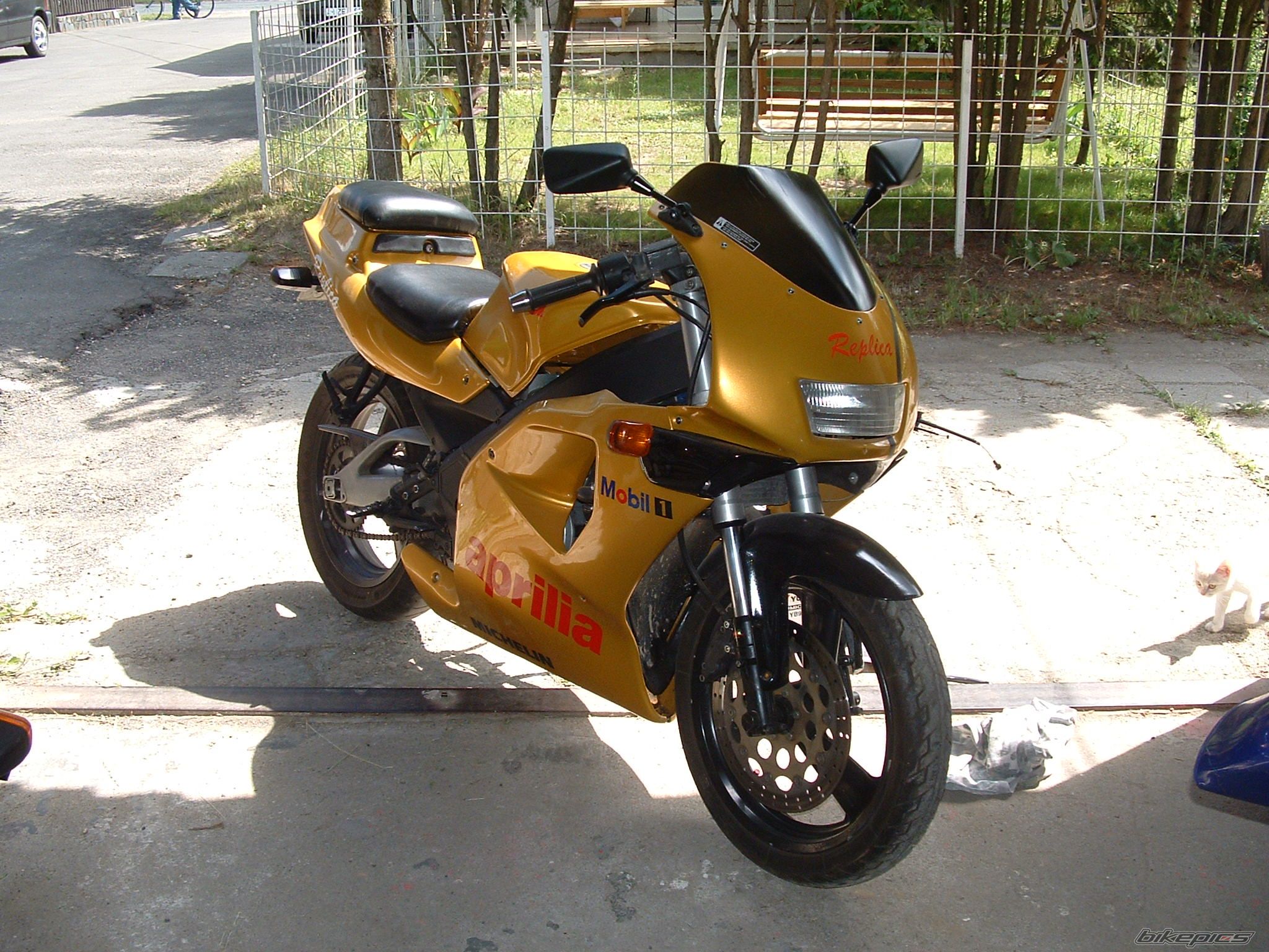 Photo 1399242