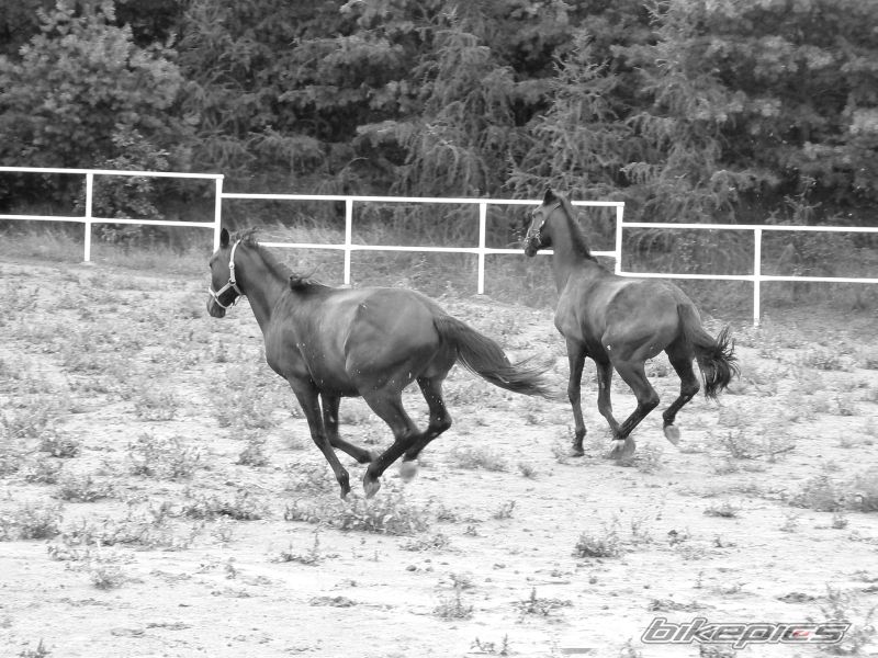 Photo 1399503