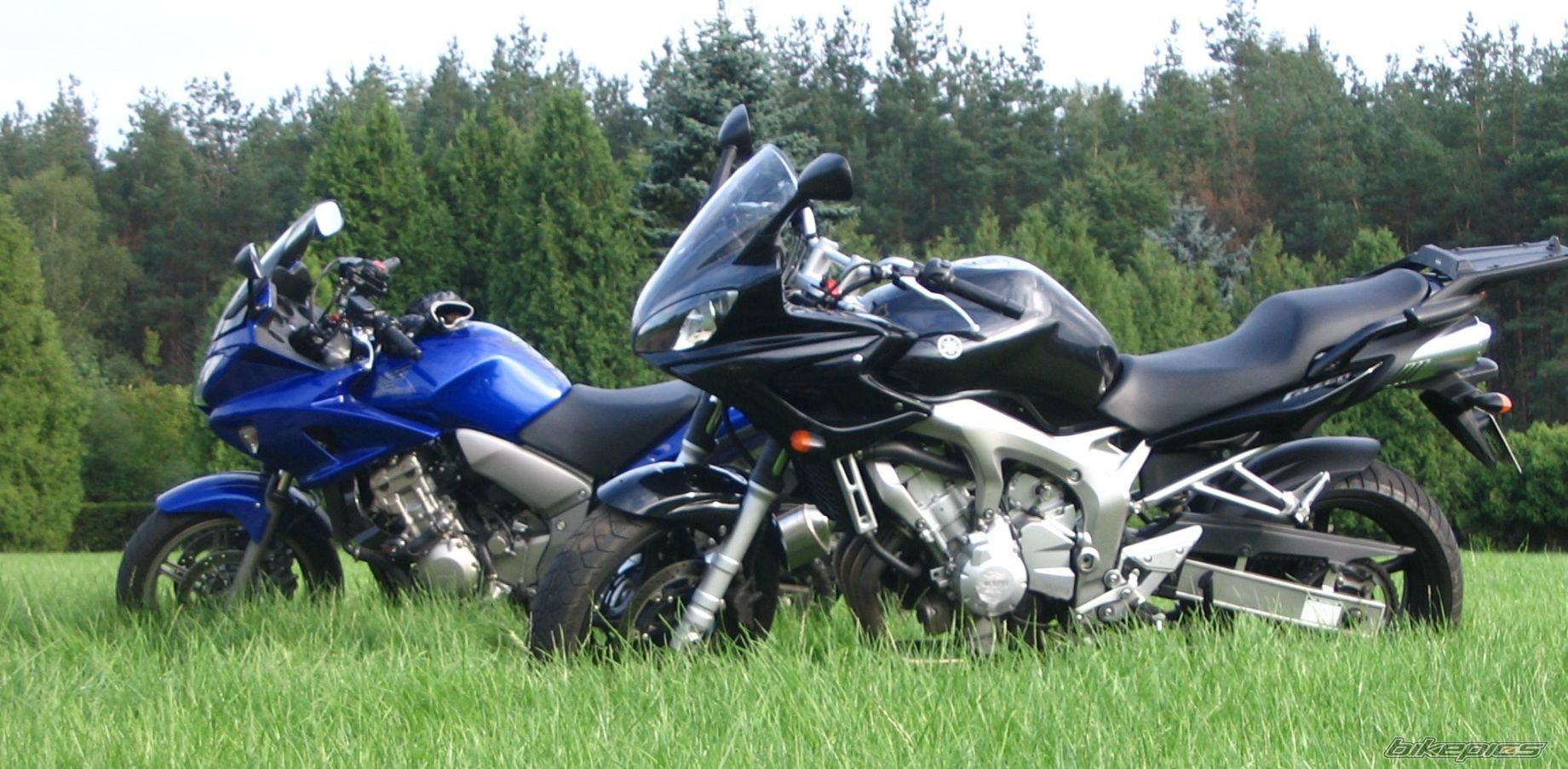 Photo 1399505