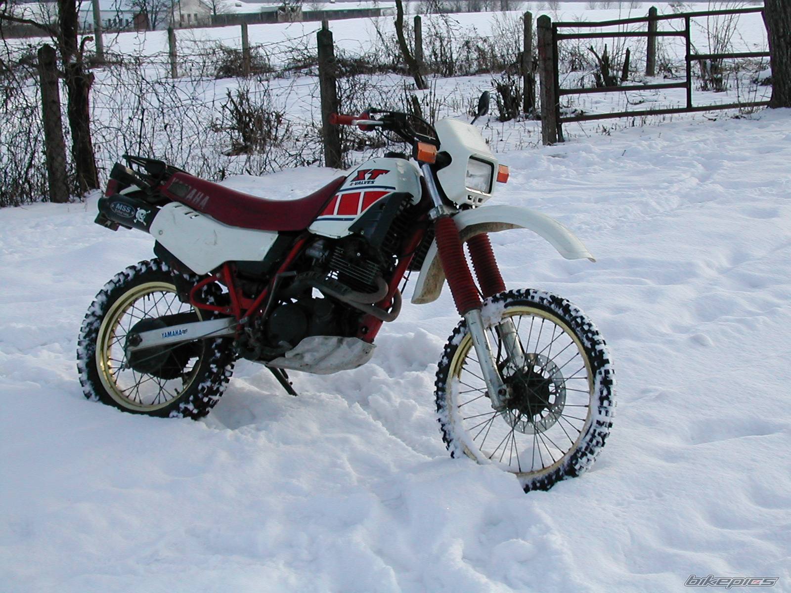 Bike Photo 139952