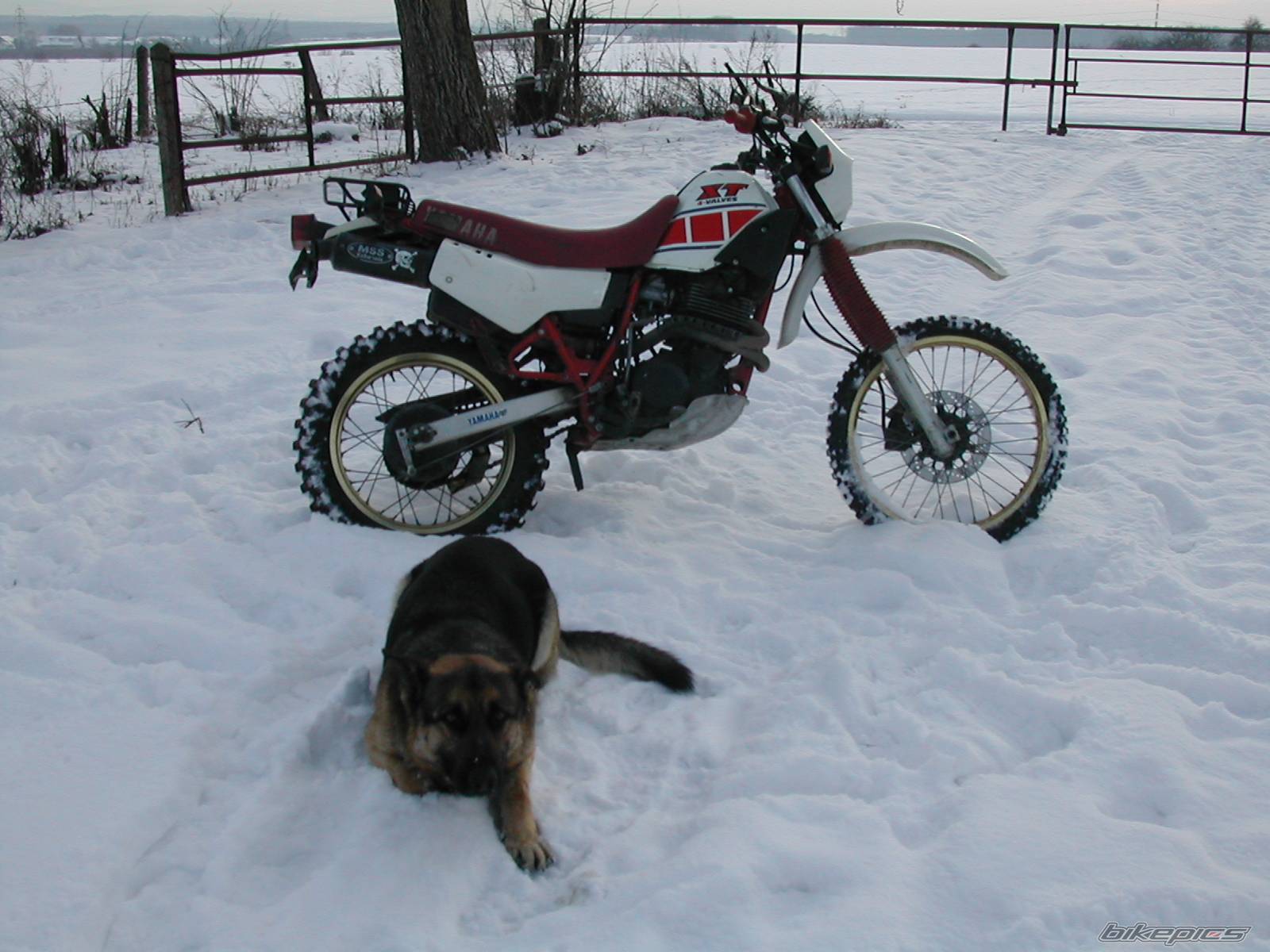 Bike Photo 139957