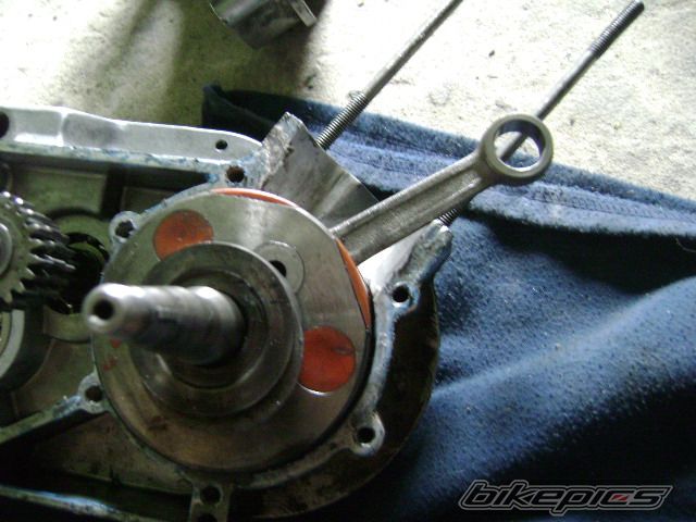 Photo 1399663