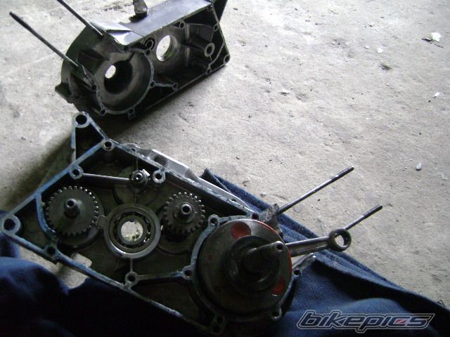 Photo 1399664
