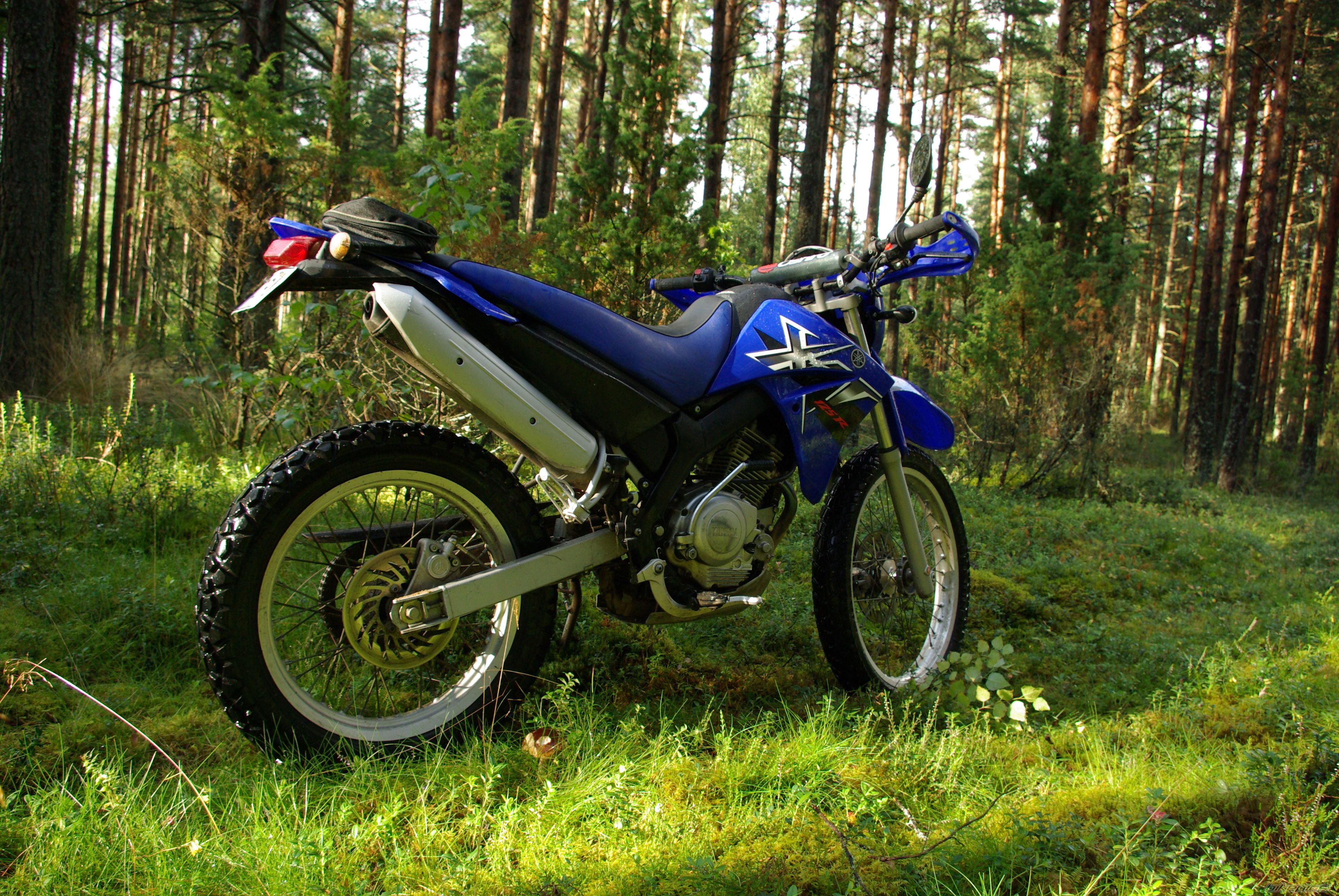 Bike Photo 1399686