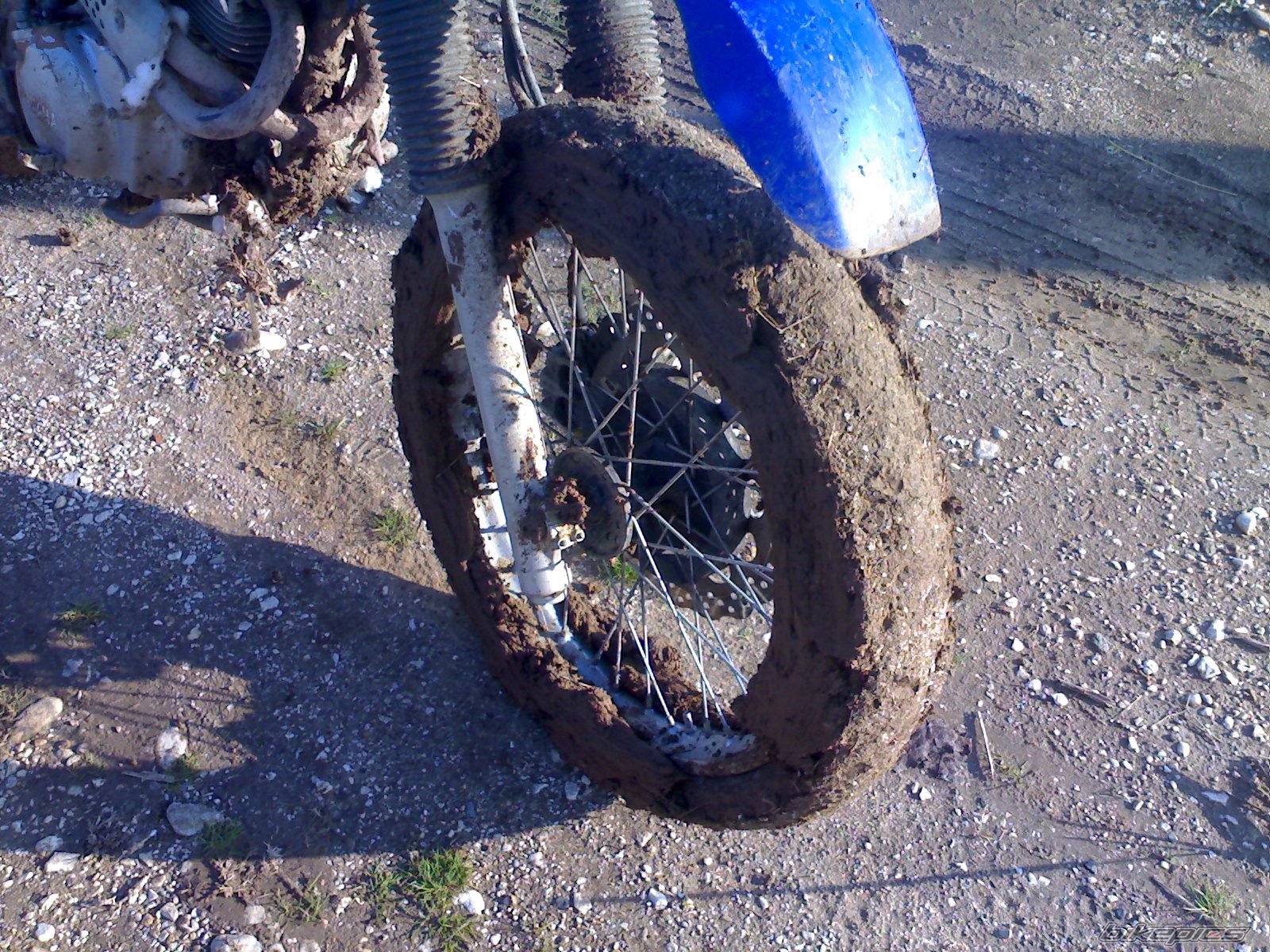 Photo 1399719