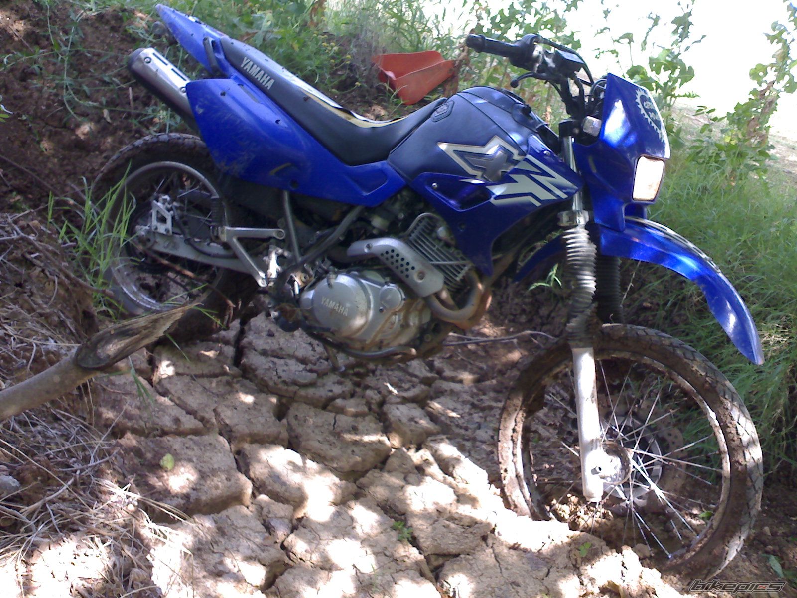 Photo 1399721