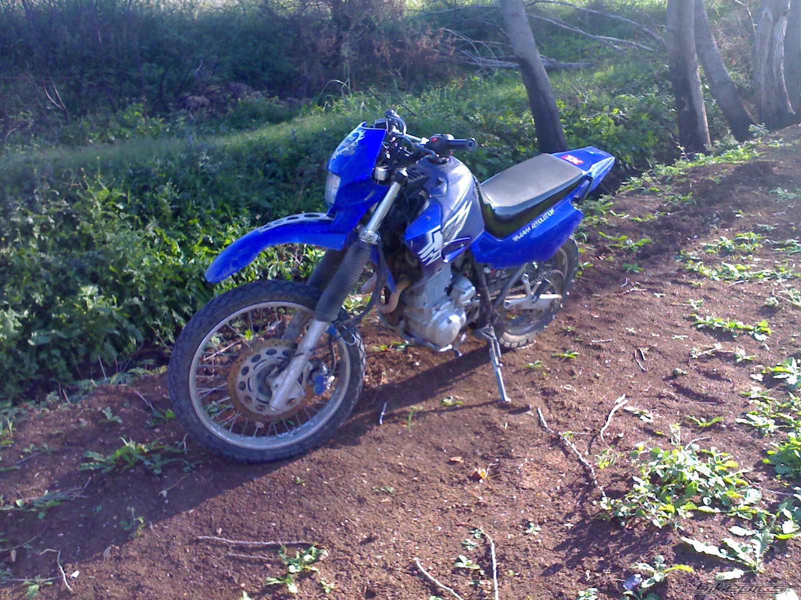 Bike Photo 1399724