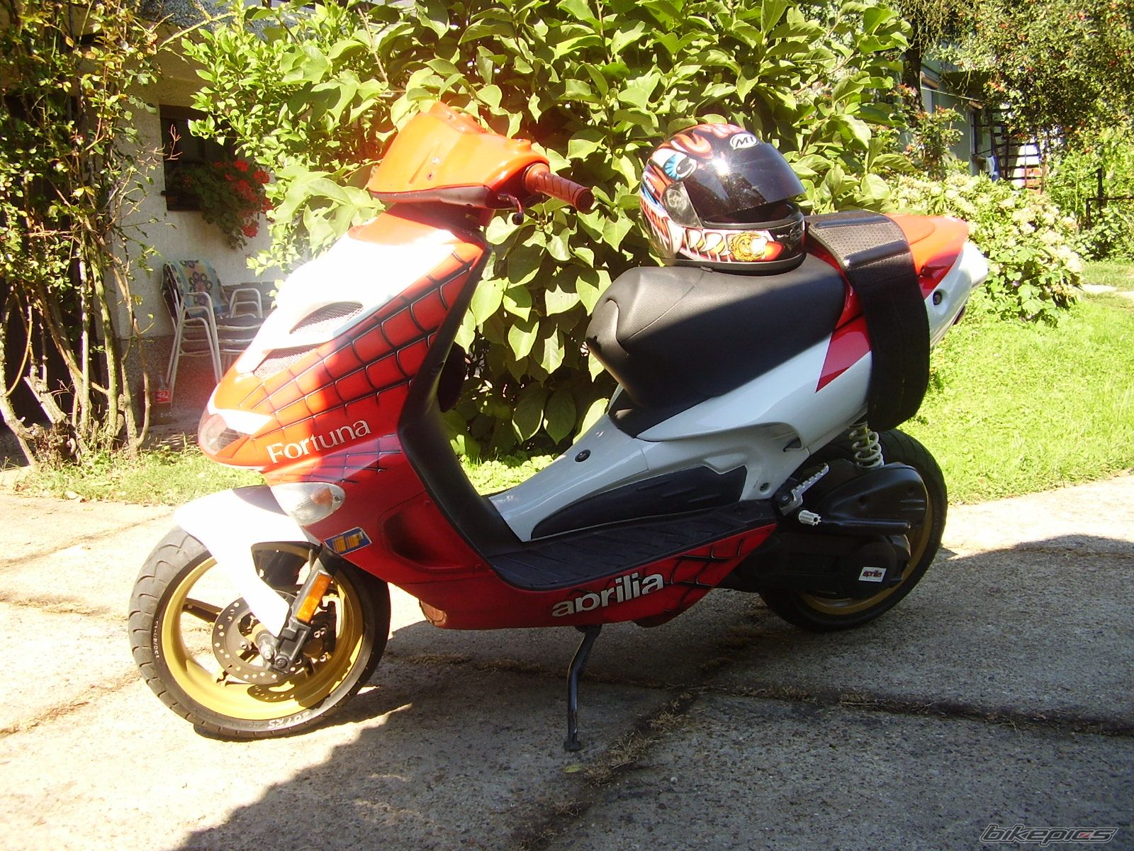 Photo 1399744