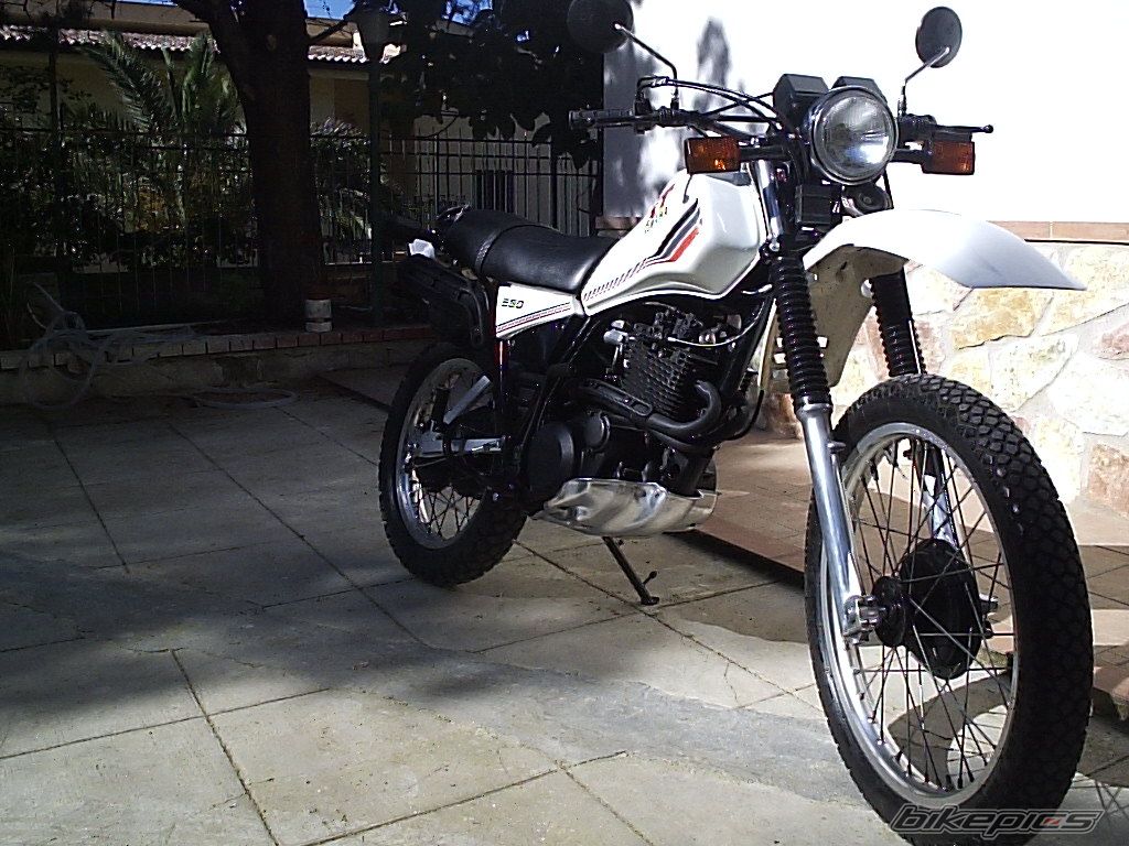 Photo 1399803