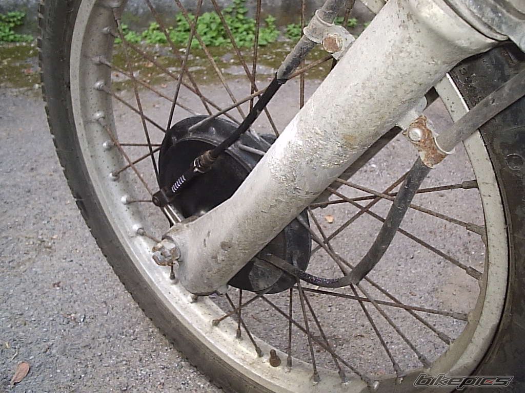 Photo 1399976