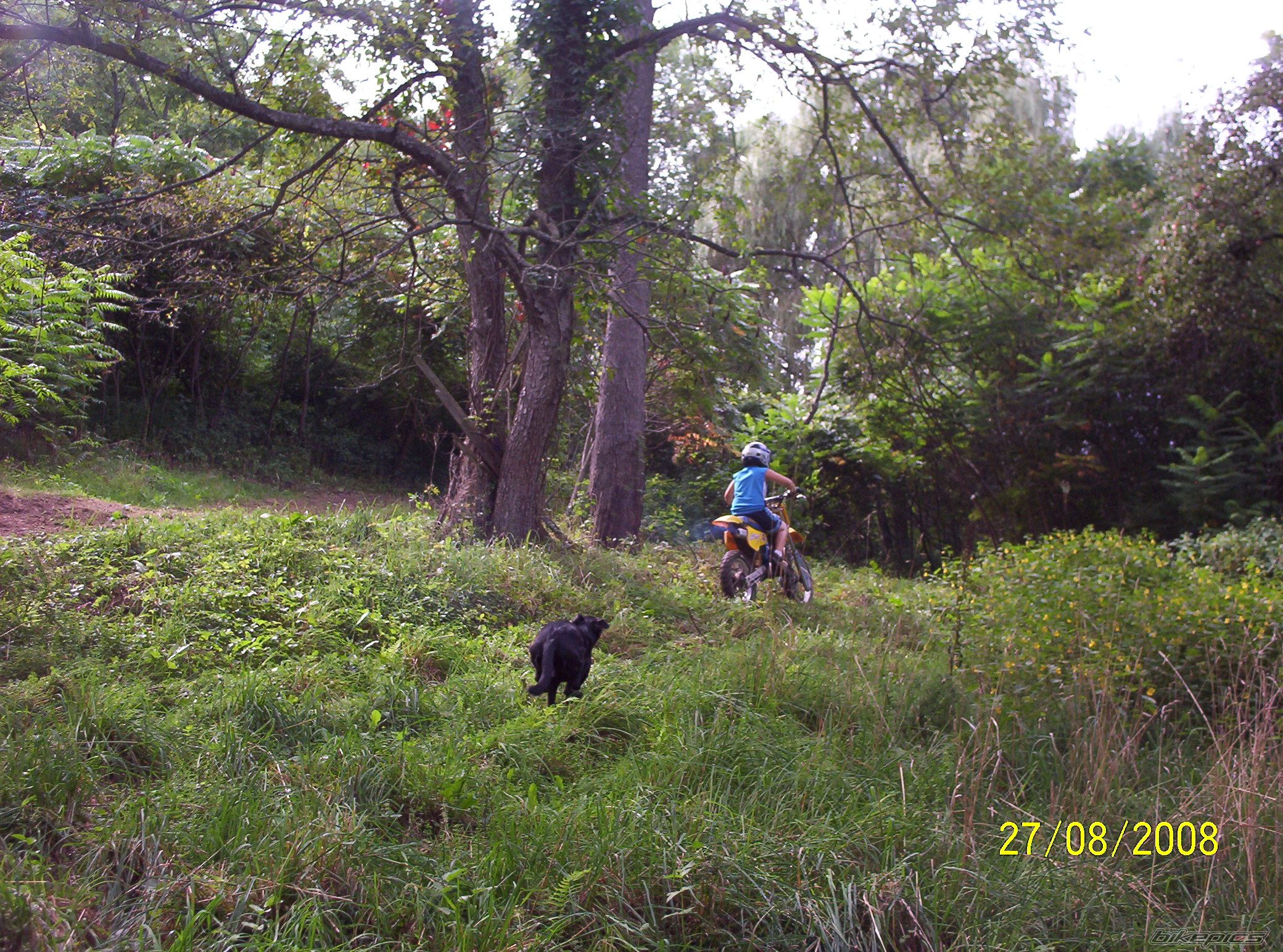 Photo 1400025