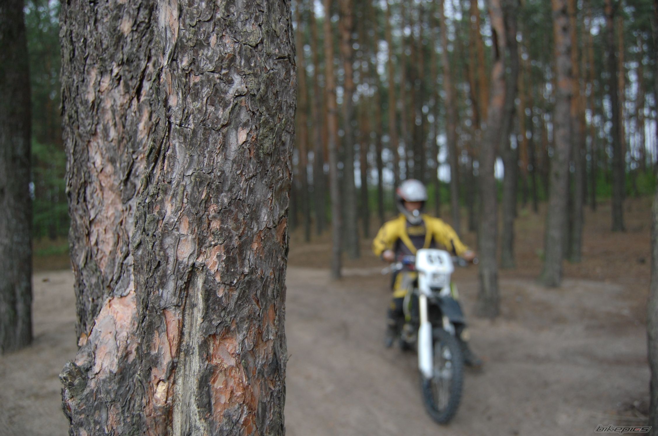 Photo 1400221