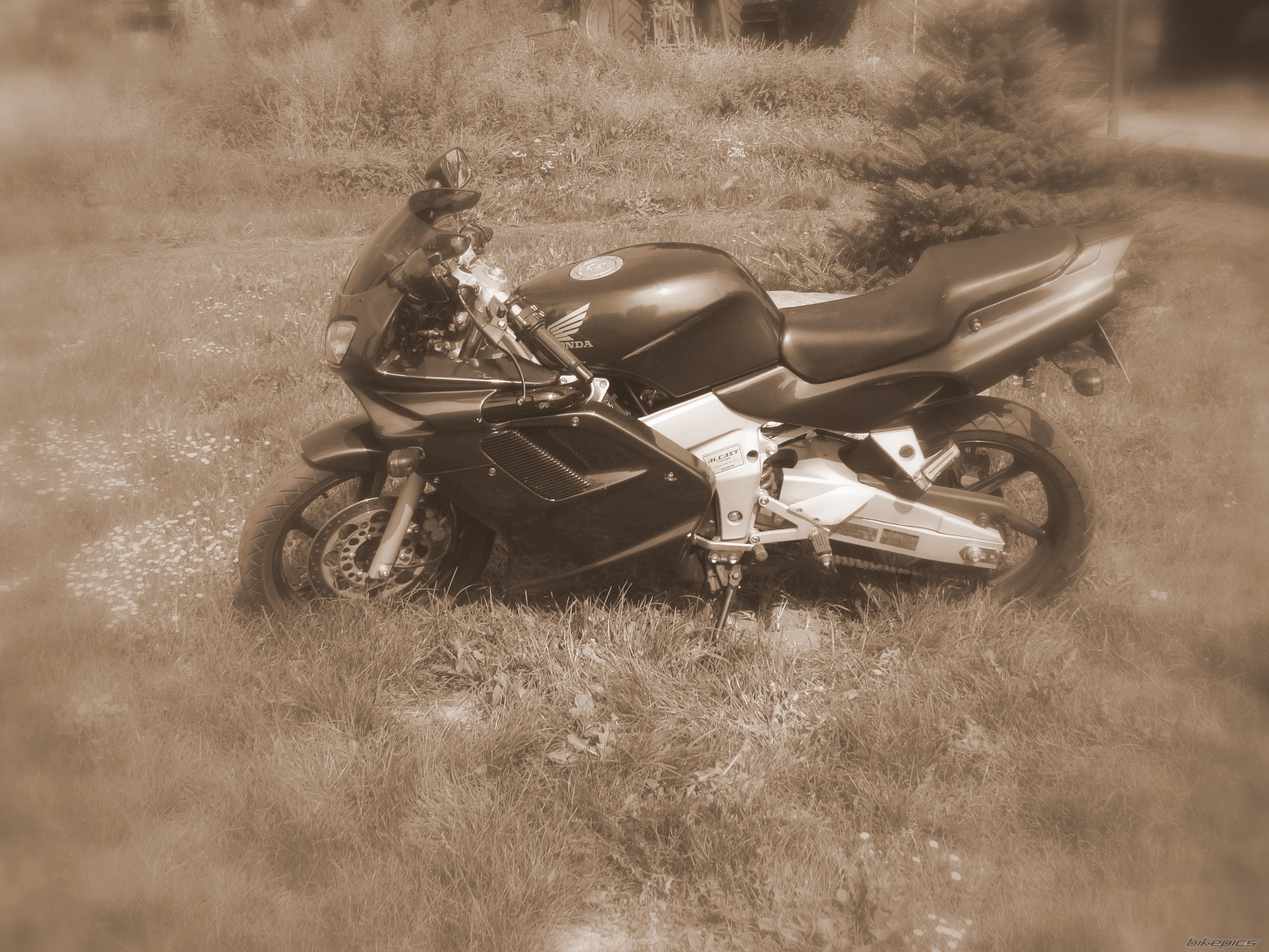 Photo 1400237