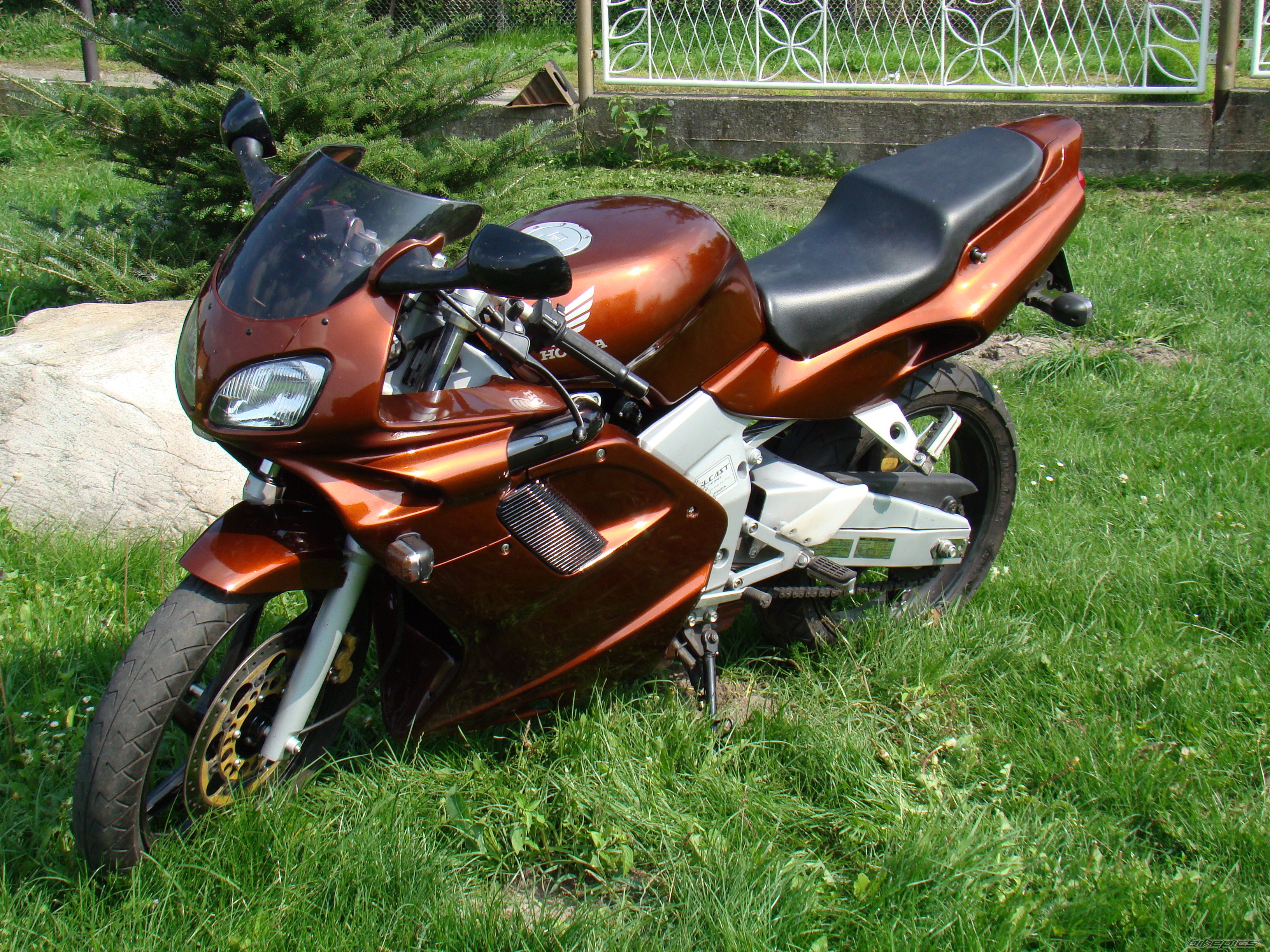 Photo 1400243