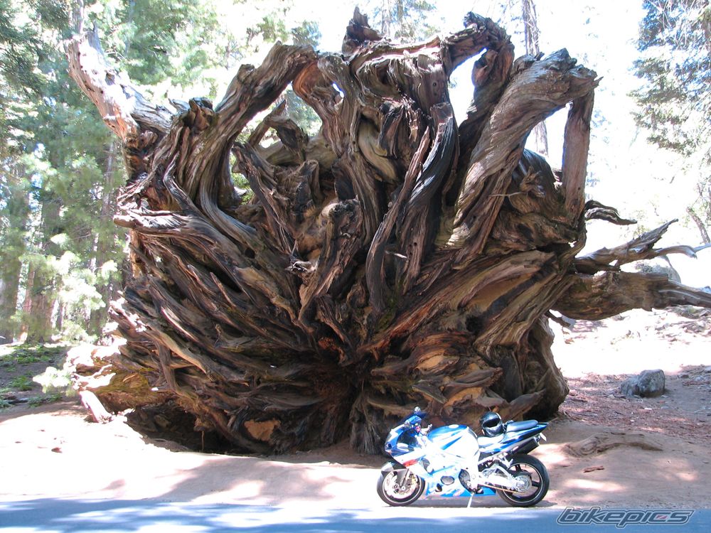 Bike Photo 1400361