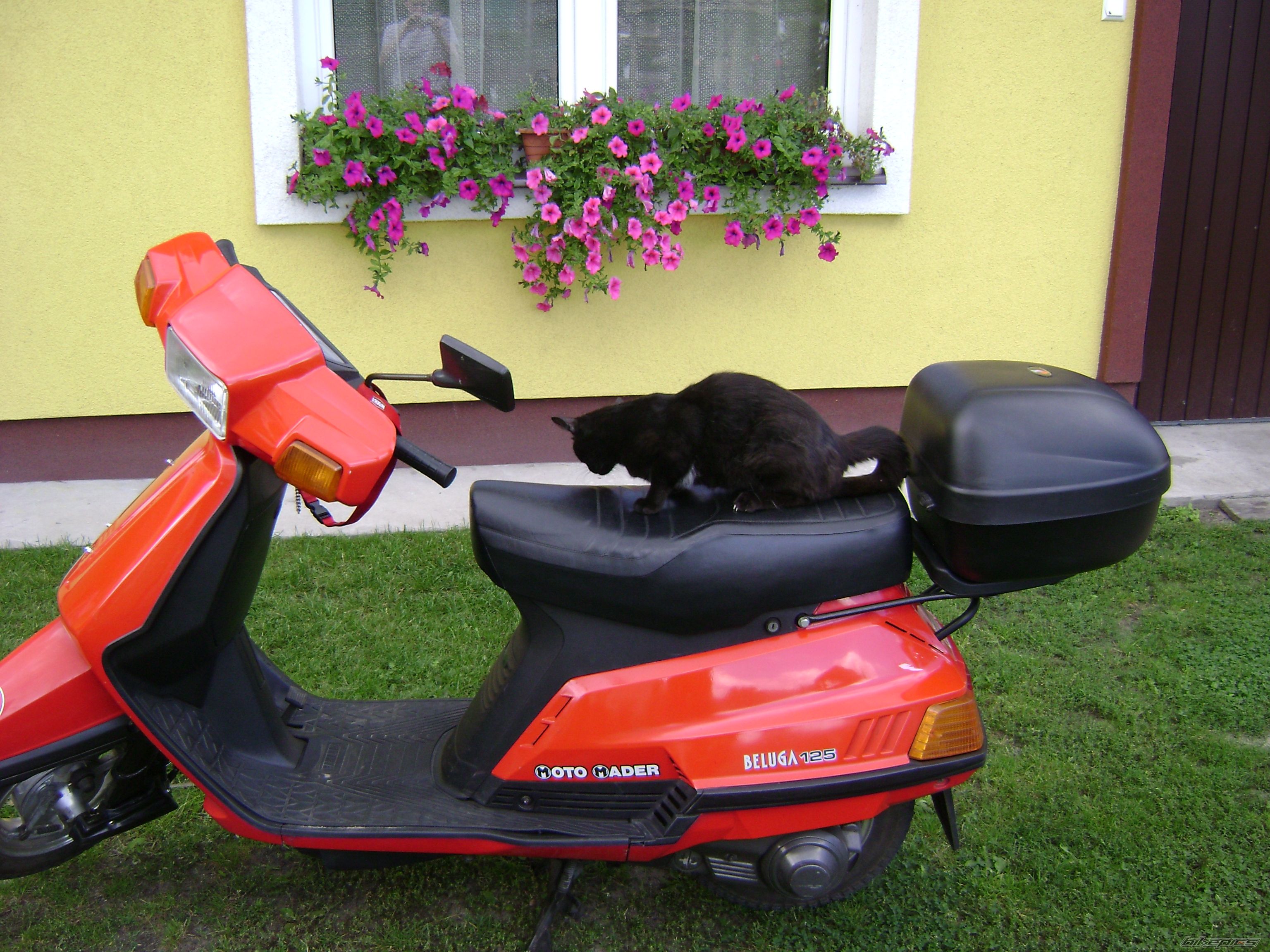 Photo 1400589