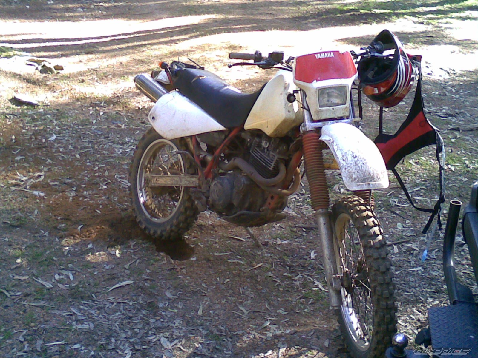 Photo 1400645