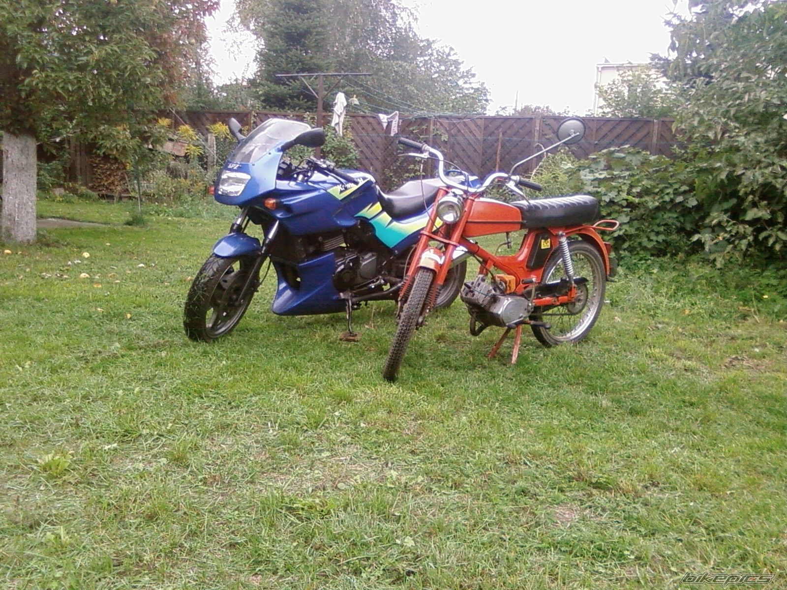 Photo 1400823