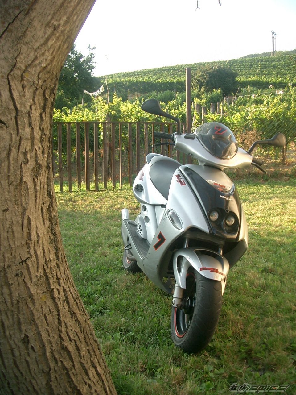 Photo 1400964