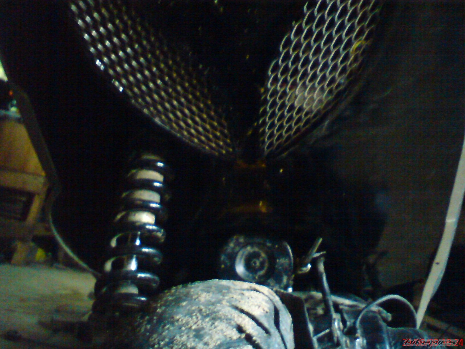 Photo 1401402