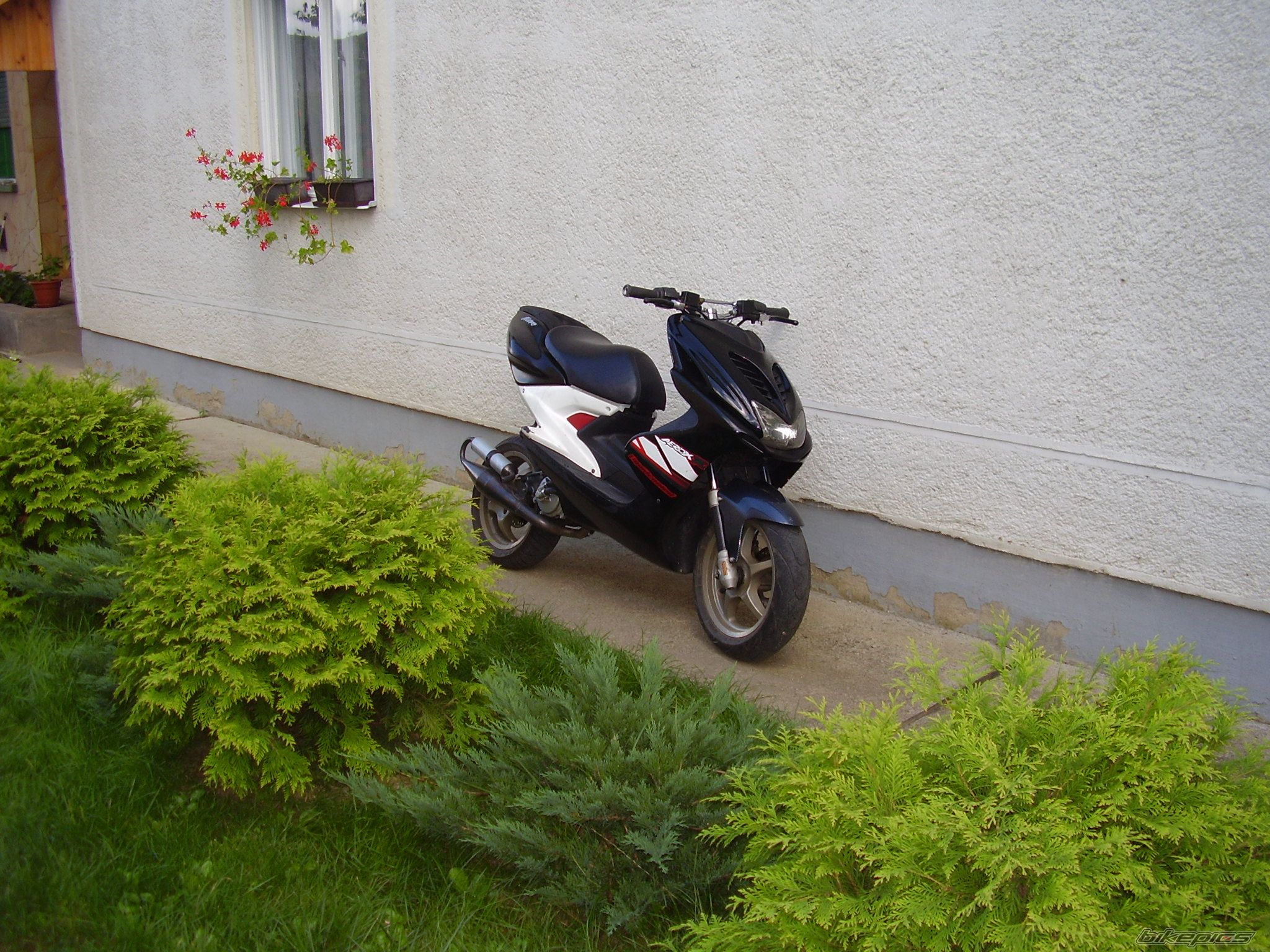Photo 1401484