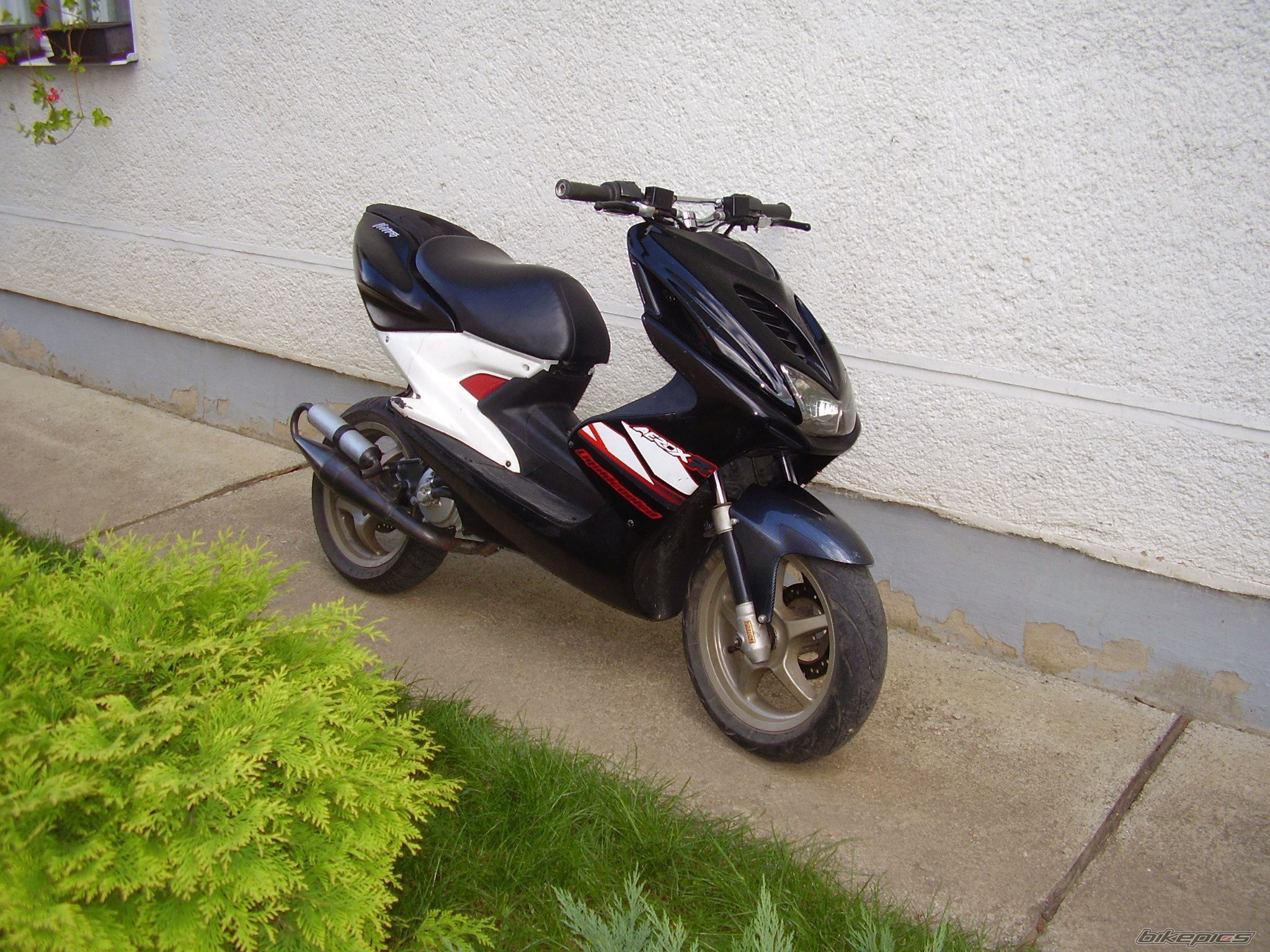 Photo 1401486